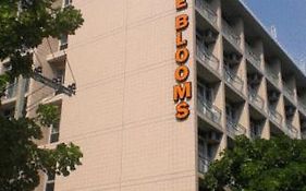 เดอะ บลูม เรซซิเดนท์